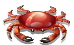 Crab_image